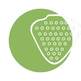 Tapetes para migitorio